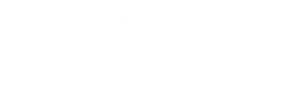 Amir-anzur-logo-01-1-1-300x94